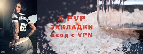 ПСИЛОЦИБИНОВЫЕ ГРИБЫ Новозыбков