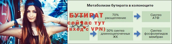 шишки Нея