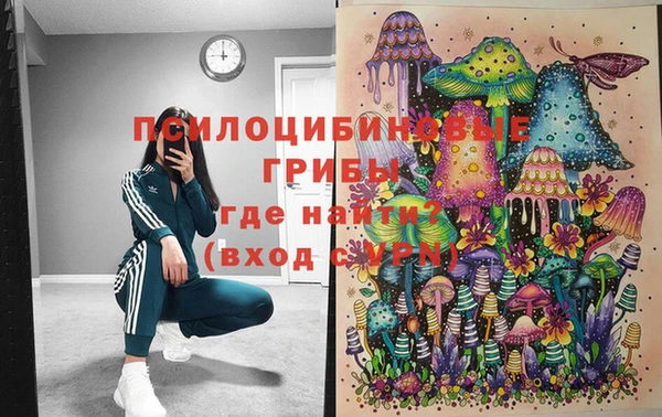 хмурый Абинск