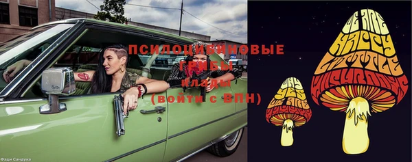 экстази Новодвинск