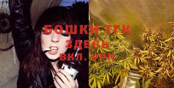 шишки Нея