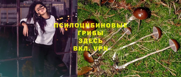 кокс Алексин