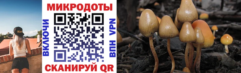 Псилоцибиновые грибы мухоморы закладка Пугачёв